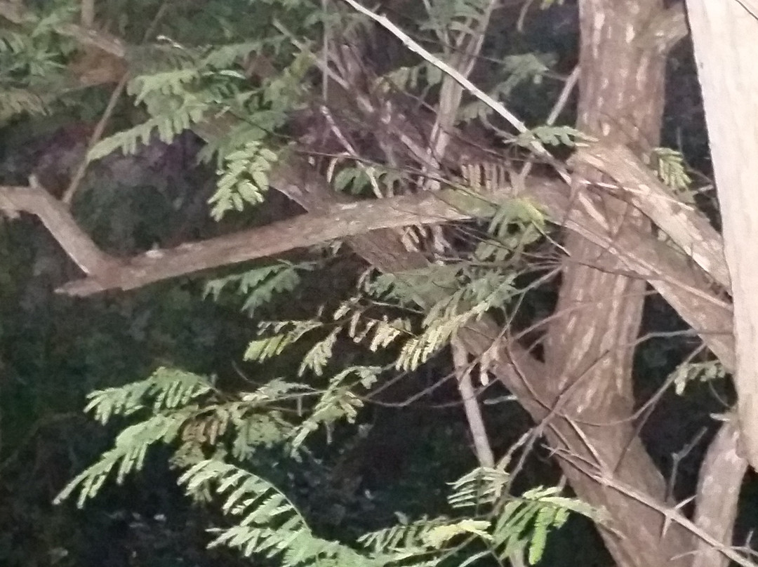 The Backwaters主图