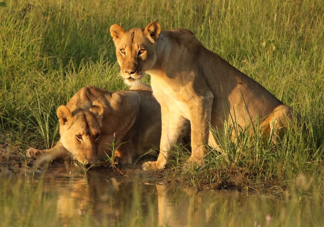 Matebele Royal Safaris-布拉瓦约必去景点