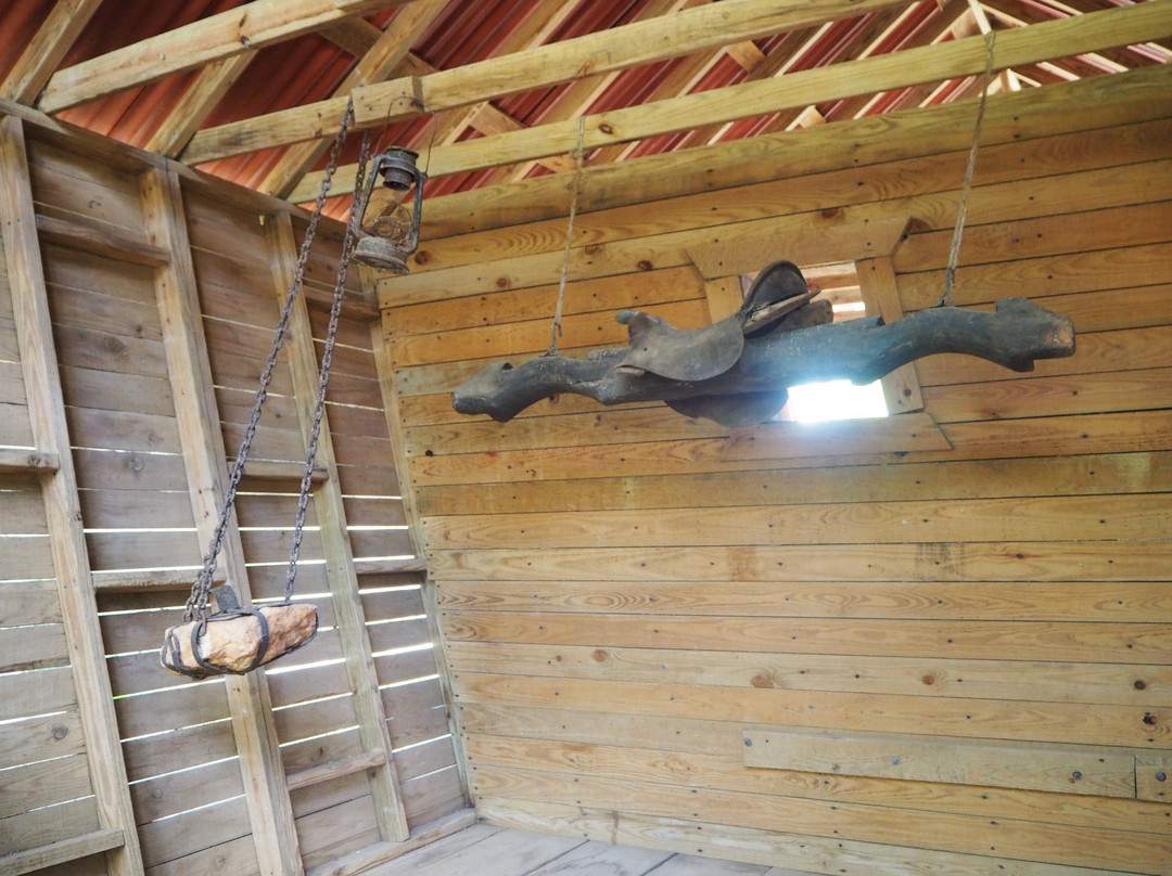 Cumayasa Sky Adventure-拉罗马纳必去景点