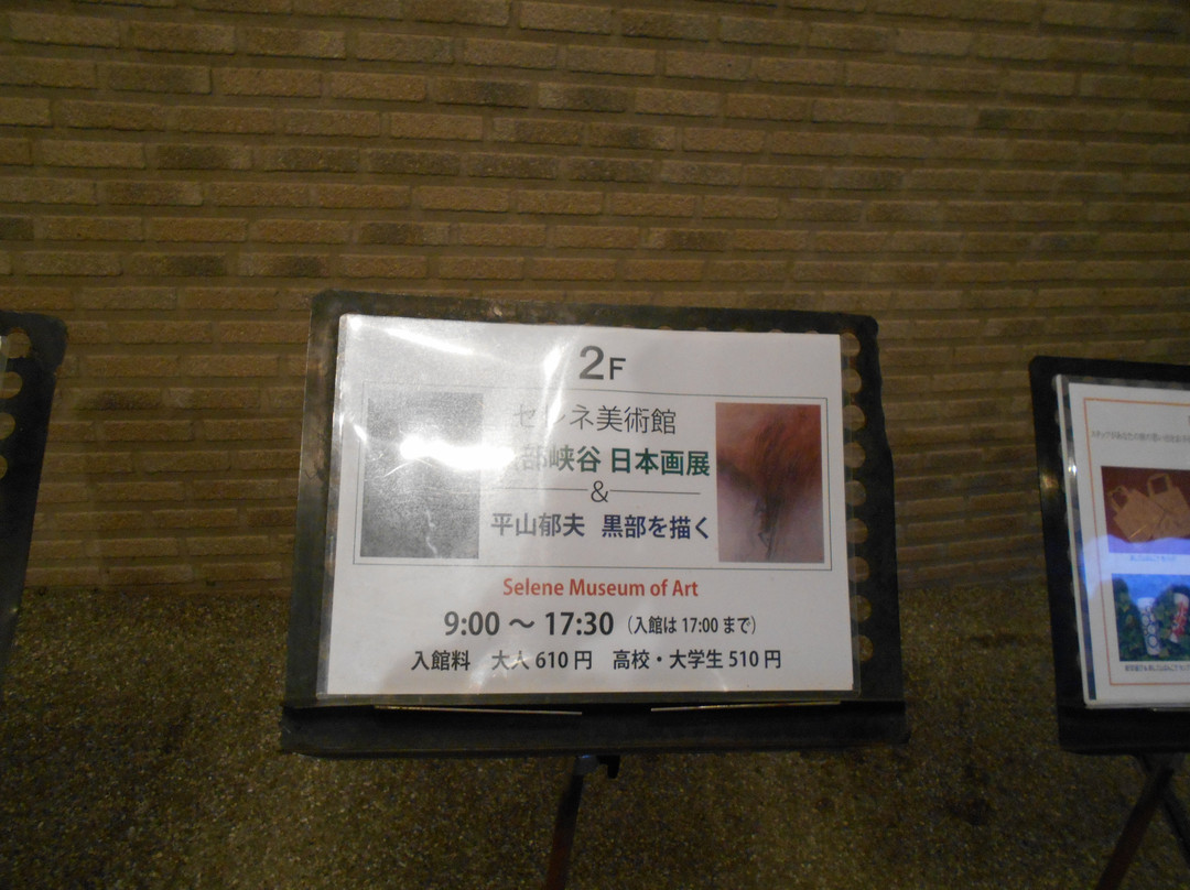 Selene Museum of Arts-黑部市必去景点