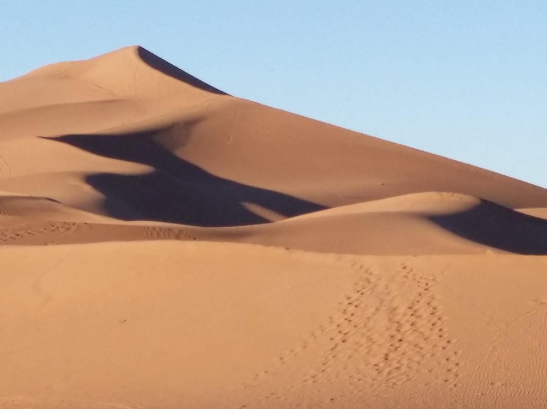 Loud Sahara Day Tours景点图片
