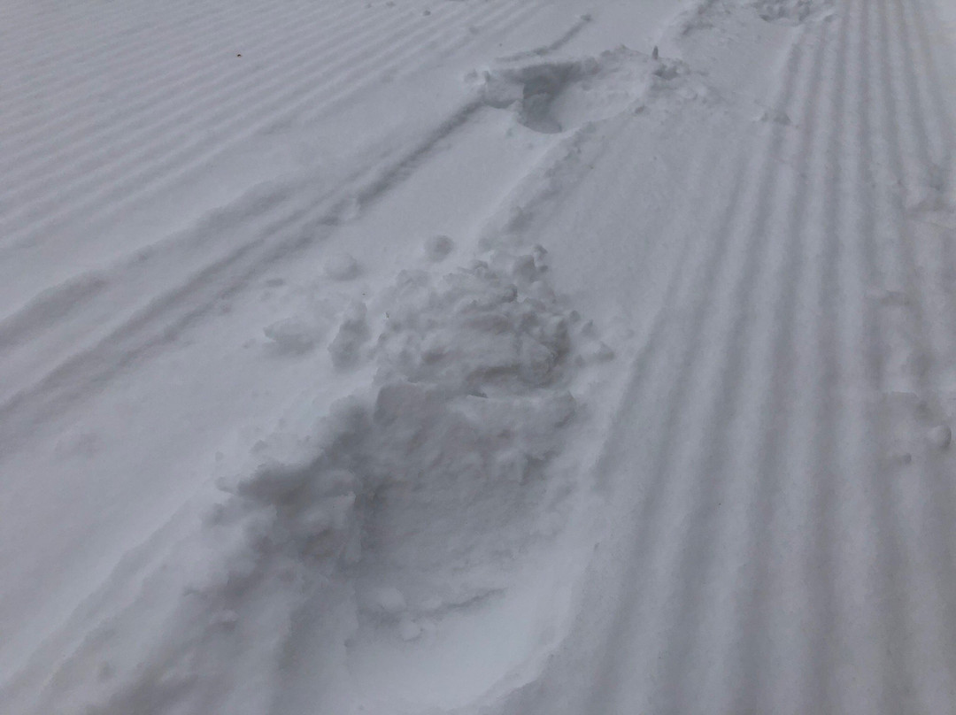 Tourist office St. Johann in Tirol-圣约翰堤候必去景点