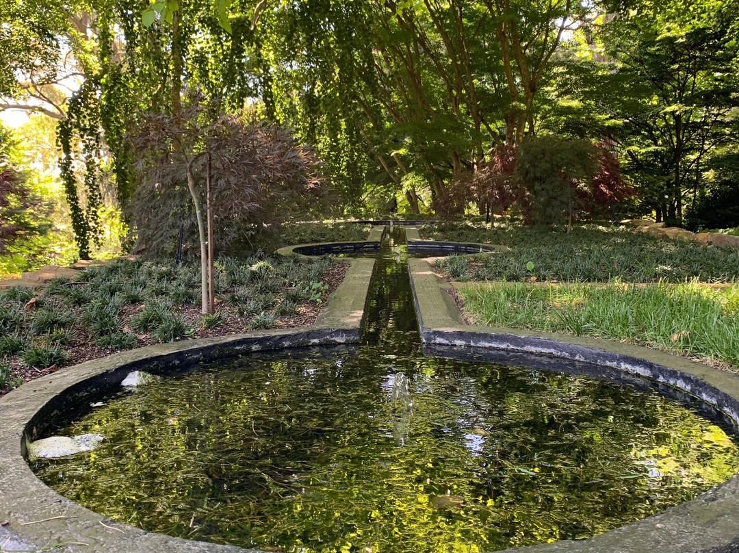 Windyridge Garden景点图片