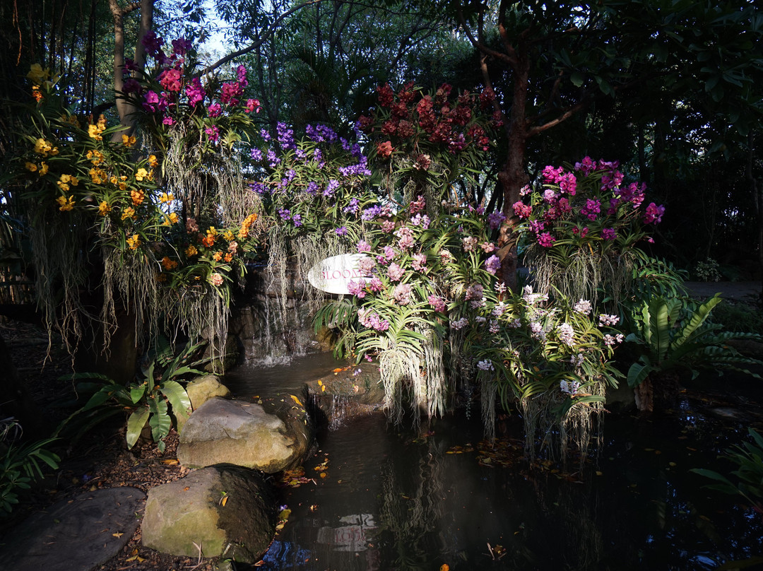 The Blooms Orchid Park景点图片