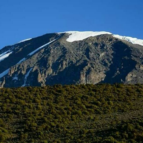 Step to Kilimanjaro-莫西必去景点