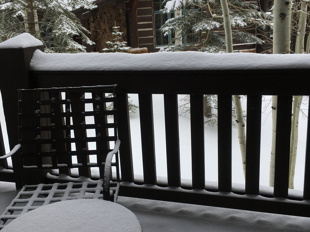 Bachelor Gulch Condos主图