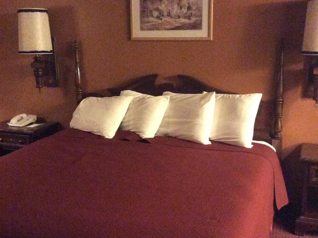 Regency Inn and Suites主图