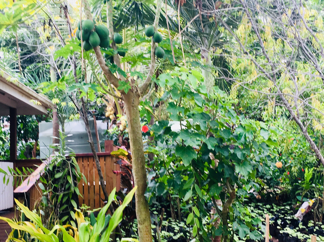 Port Wine Guest House主图