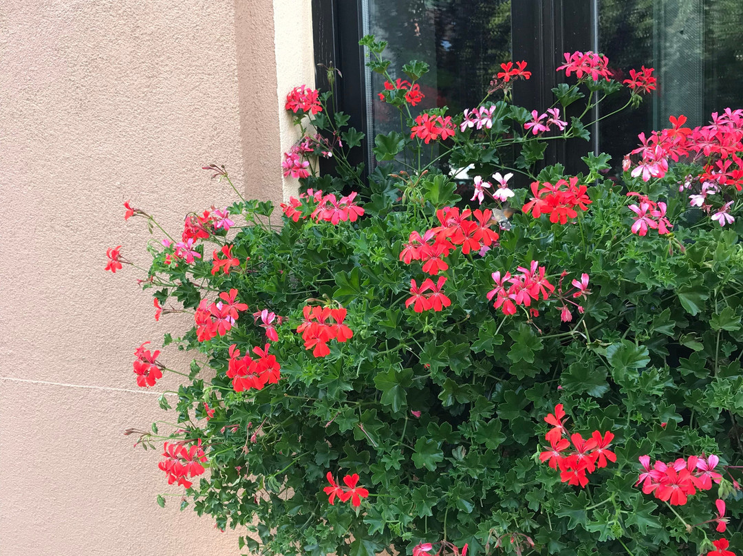 Brasov Urban Adventures-布拉索夫必去景点