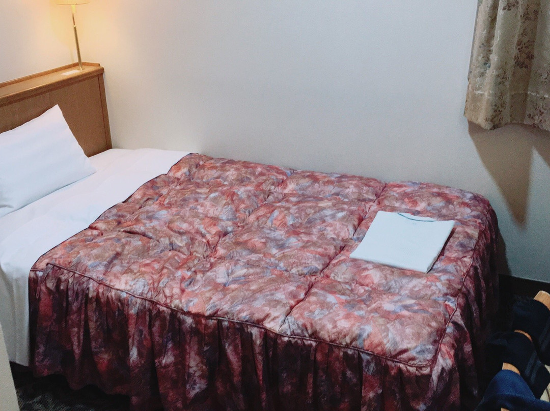 Kobayashi City Hotel Palace主图