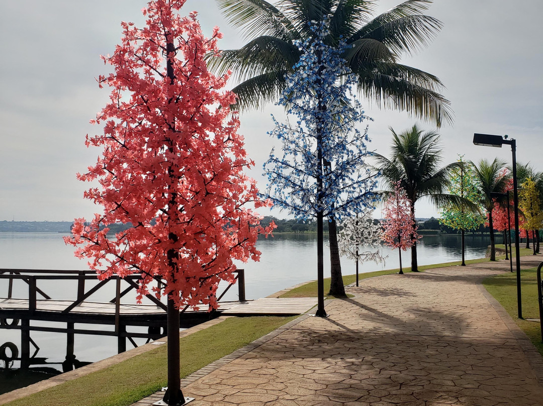 Guia de Brasília Alberto-巴西利亚必去景点