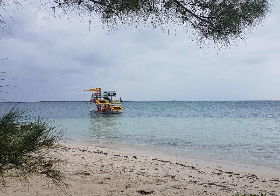 Jungle Float Cayman景点图片