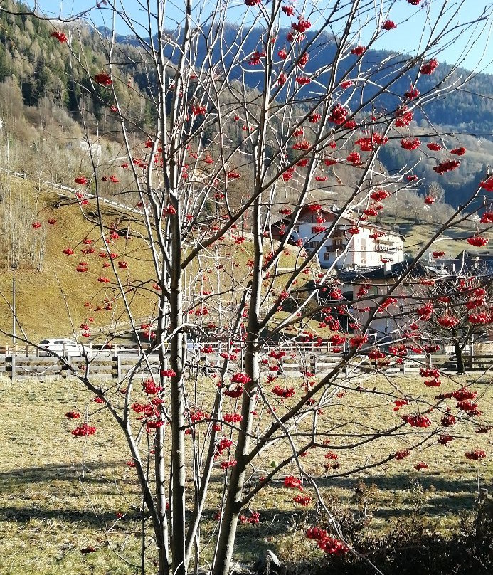 B&B Il Sorriso dei Nonni主图