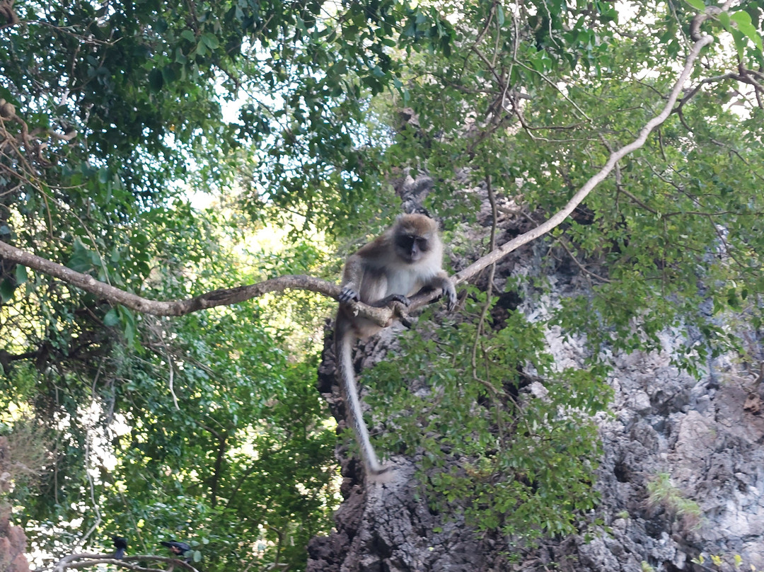 Phi Phi Local Tour-大皮皮岛必去景点