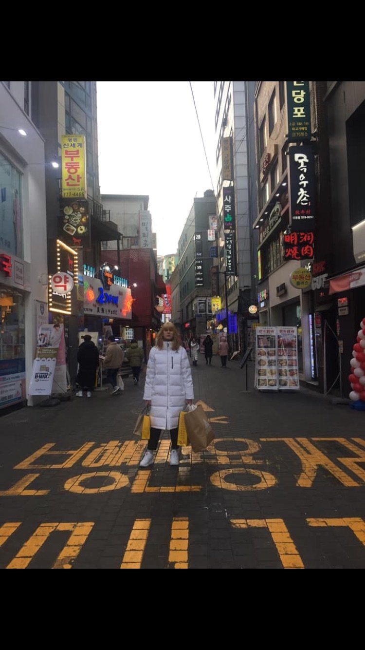 首尔王子饭店-酒店景观