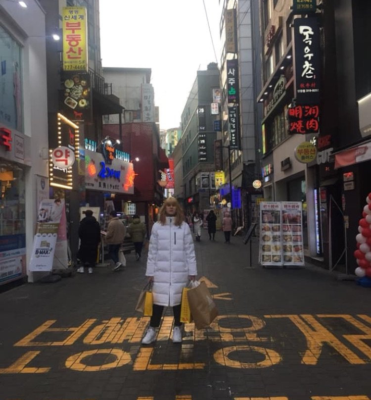 首尔王子饭店主图