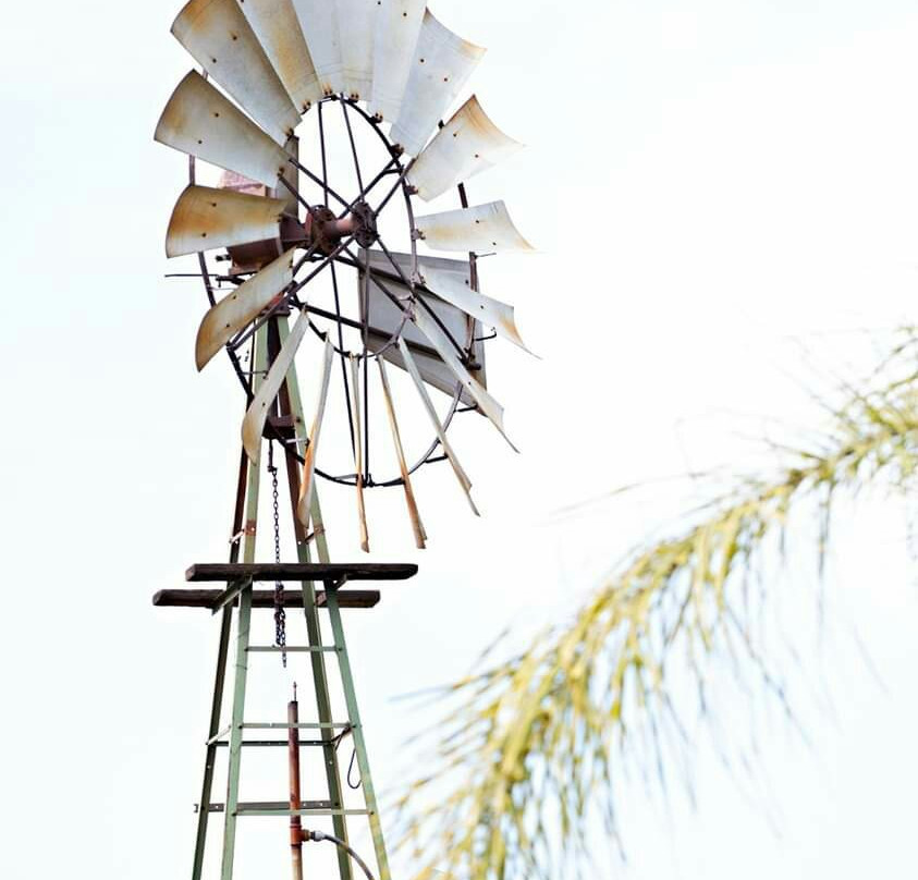 Flamingo’s Nest Boutique Hotel主图