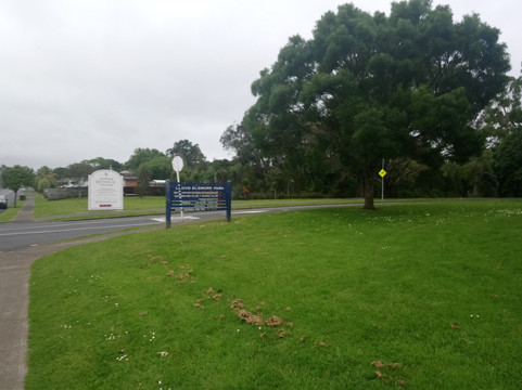 Lloyd Elsmore Park-Howick必去景点