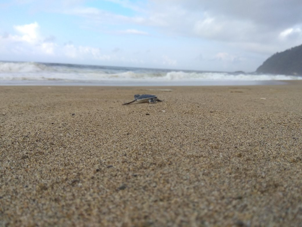 EastJavaDriver-玛琅必去景点