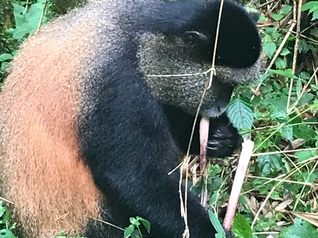 Nature Expeditions Africa-吉佳利必去景点