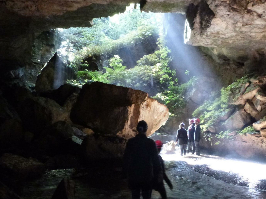 Down to Earth - Eco Cave Tours In Waitomo景点图片