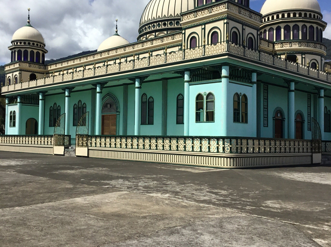 Bacolod Grande Mosque景点图片