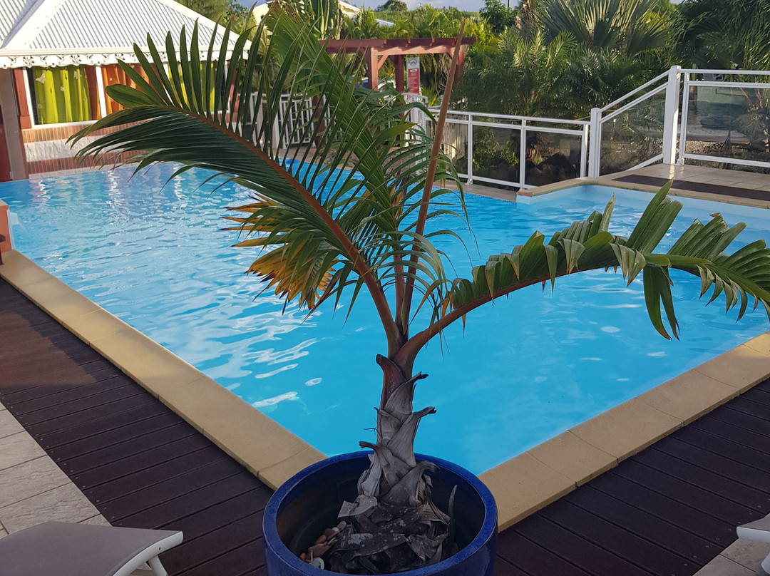 La Palmeraie Doree主图