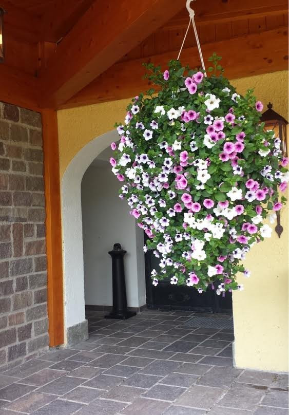 Hotel Alpen Arnika主图