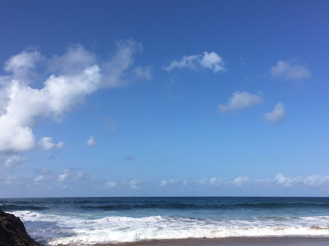 Playa Dos Roques景点图片