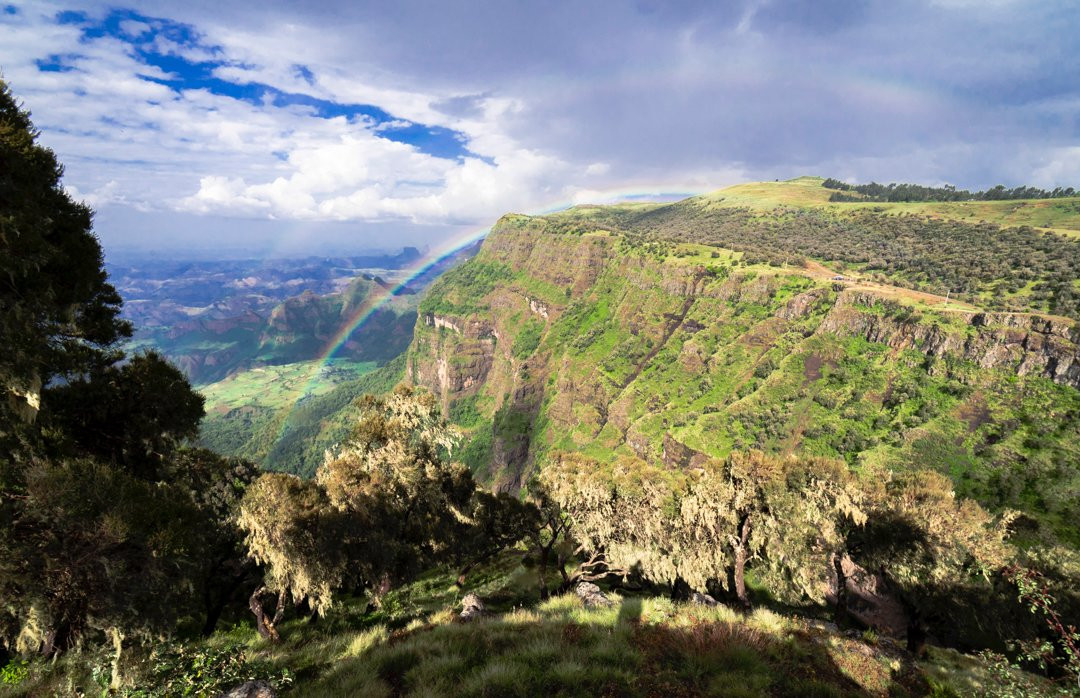 Imagine Ethiopia Tours - Day Tours景点图片