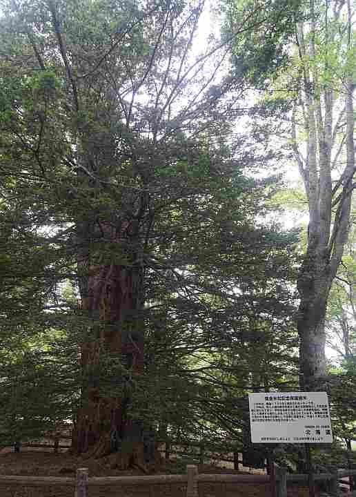 Kogane Mizumatsu-芦别市必去景点