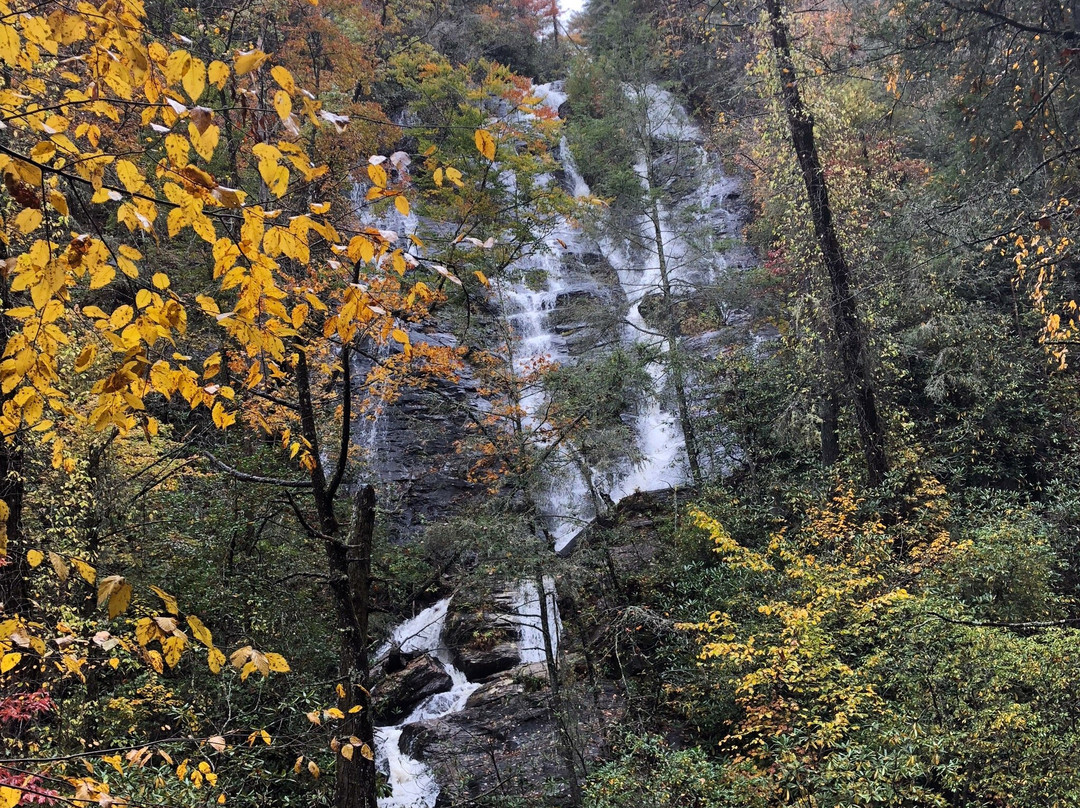 Dukes Creek Falls Trail景点图片