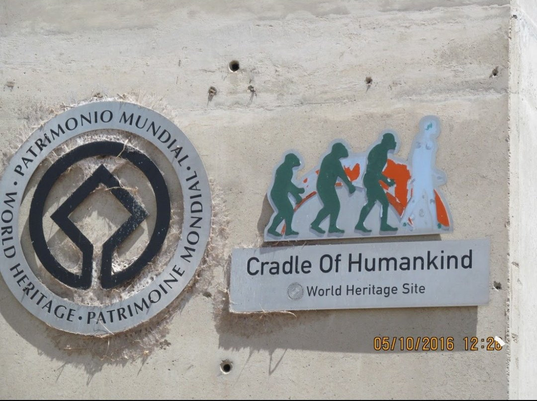 Virgio Tours-约翰内斯堡必去景点