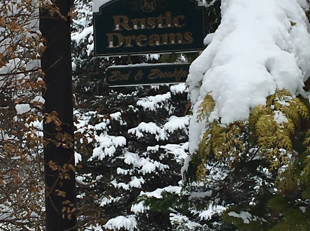 Rustic Dreams Bed and Breakfast主图