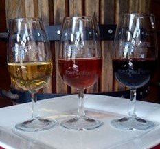 Theescombe Estate Wine Farm-伊丽莎白港必去景点