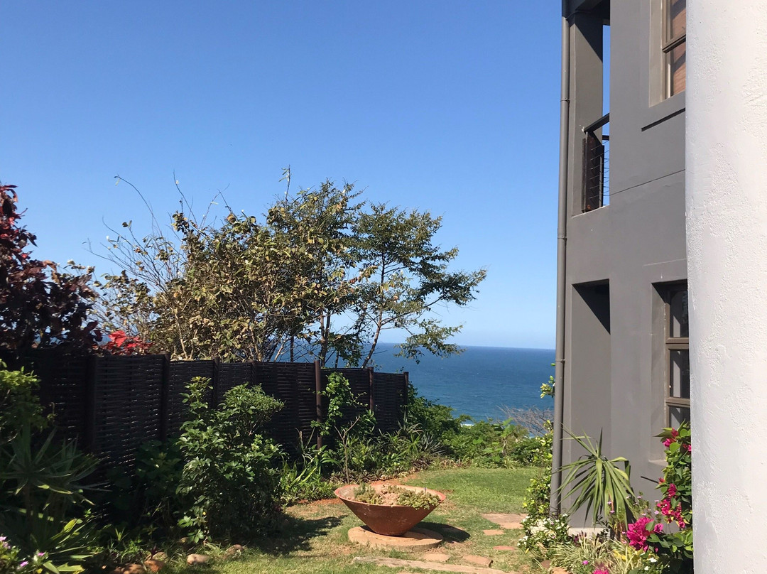 Venti Dell'Est主图