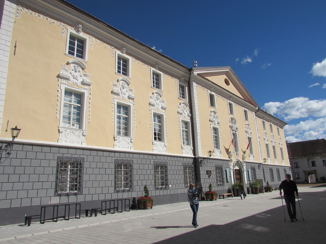 Municipial Museum of Radovljica景点图片