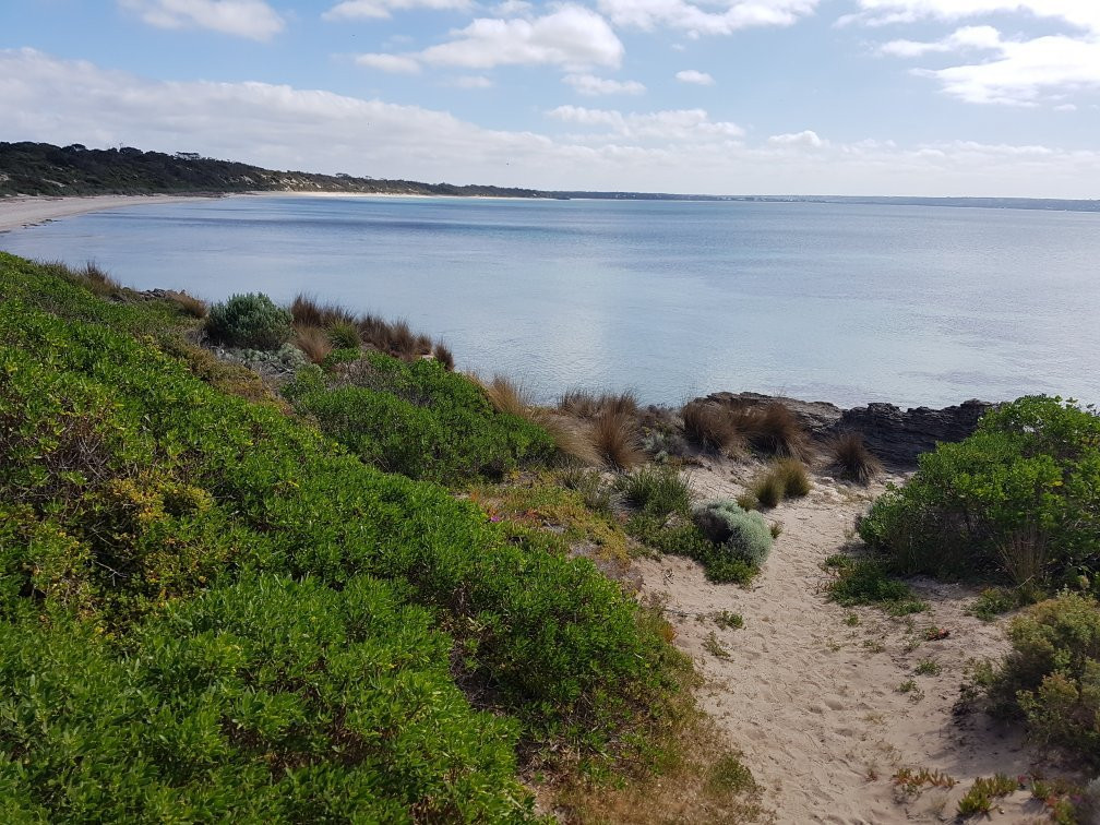 Browns Beach-袋鼠岛必去景点