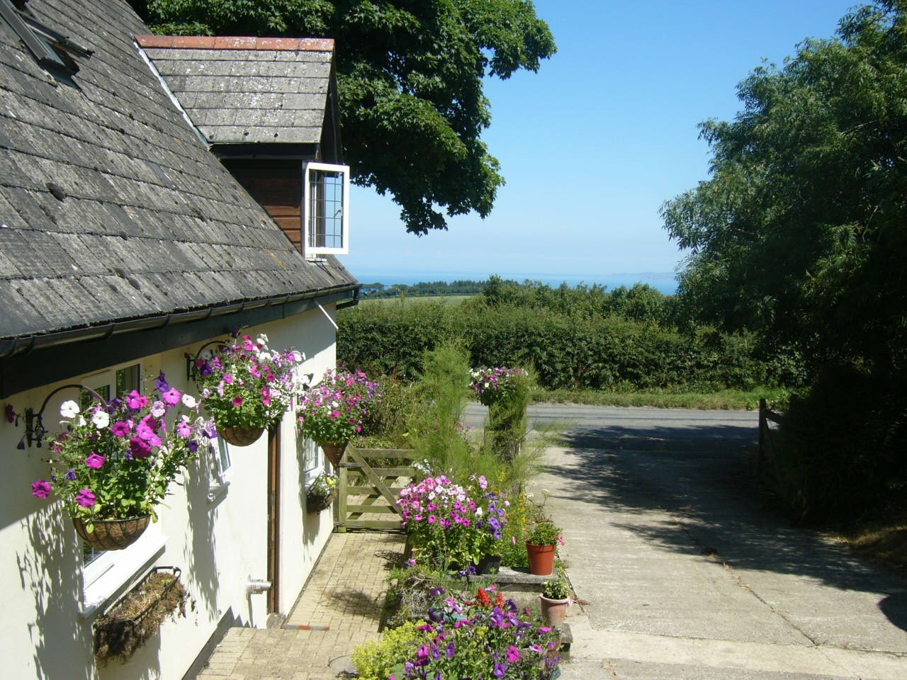Southdown B&B-官方