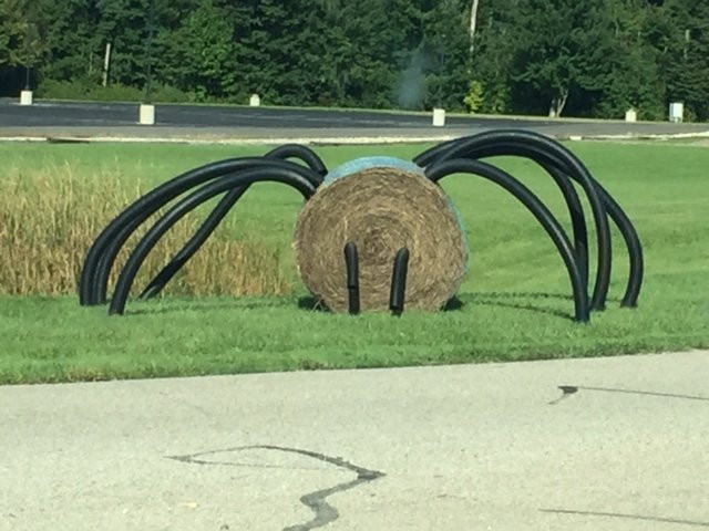 Southgate Crossing-埃尔克哈特必去景点