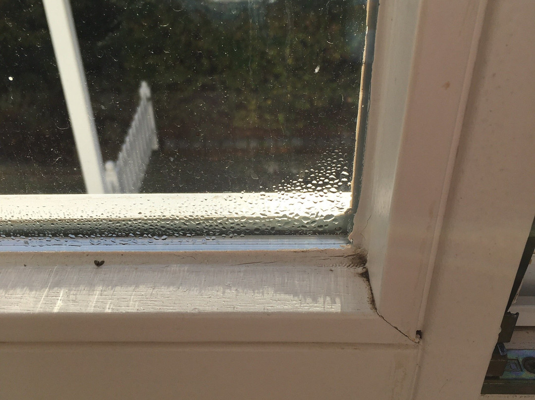 Romantikhotel Altenberger Hof主图