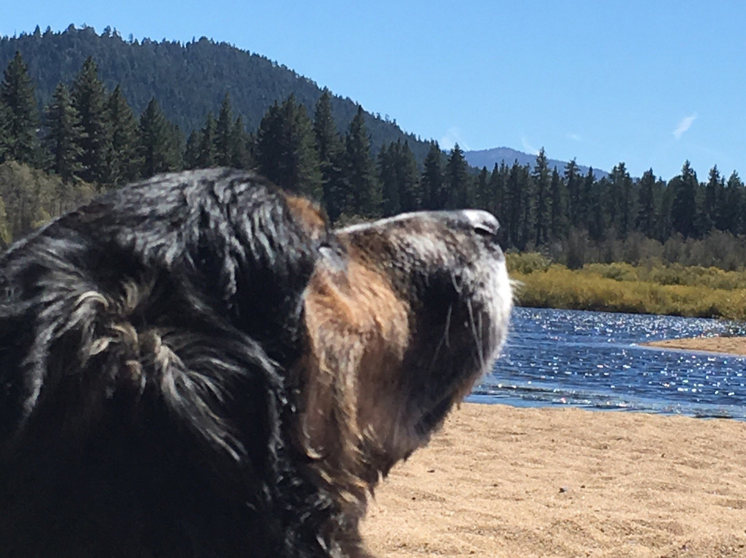 Kiva Beach-南太浩湖必去景点