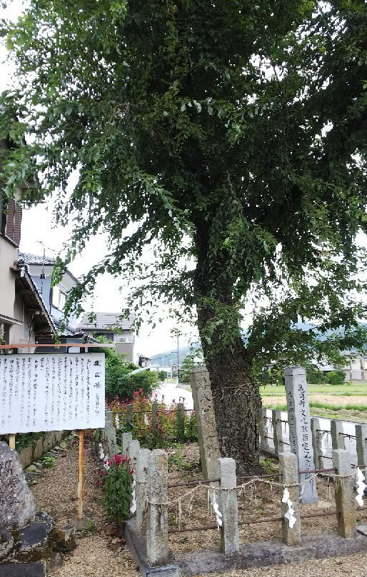 Shinomura Hachimangu Shrine-龟冈市必去景点
