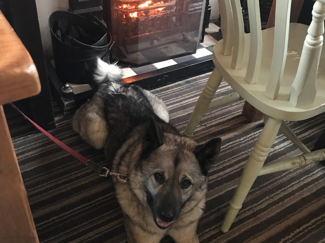 Sunnyhurst Pub-Darwen必去景点