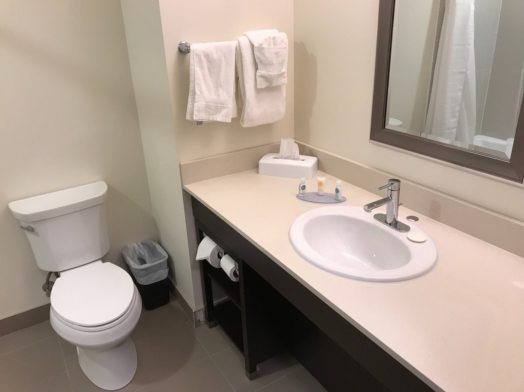 Comfort Inn & Suites Terrace主图