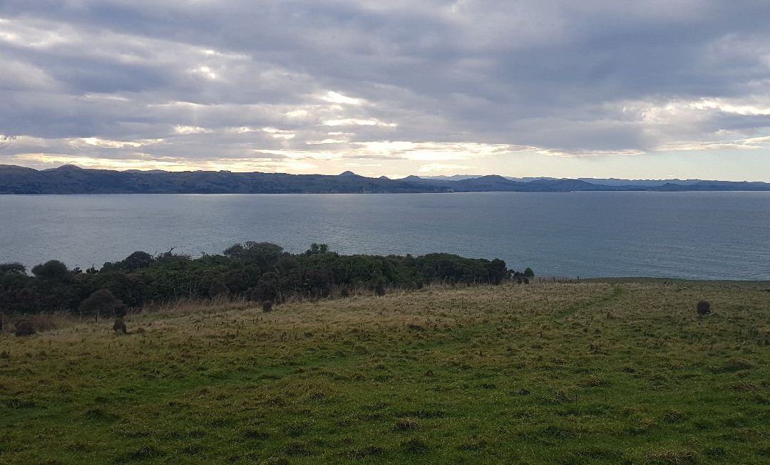 Heyward Point Track-Aramoana必去景点