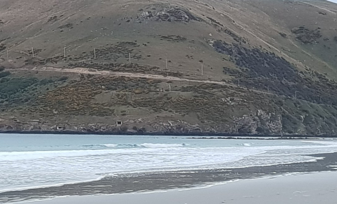 Heyward Point Track-Aramoana必去景点