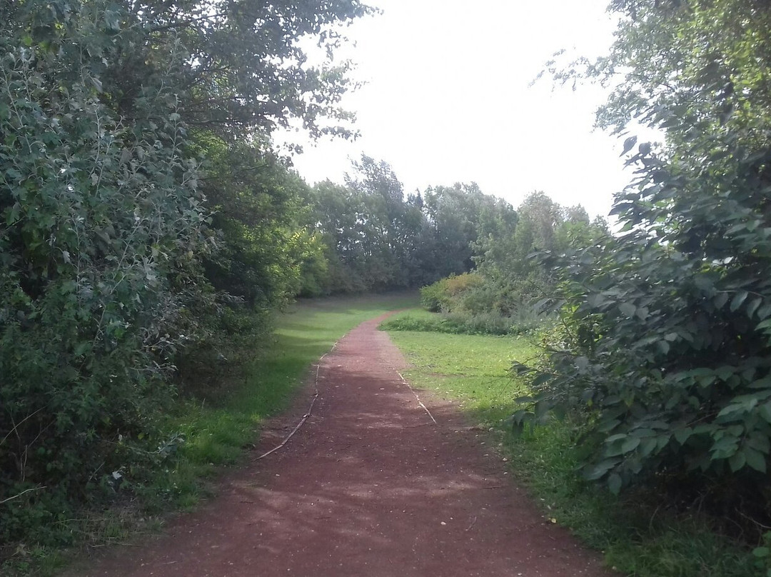 Crown Lakes Country Park景点图片
