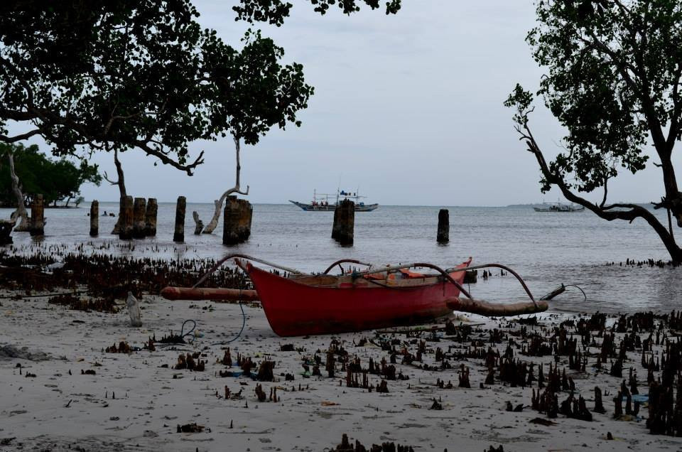 Palawan Alternative景点图片