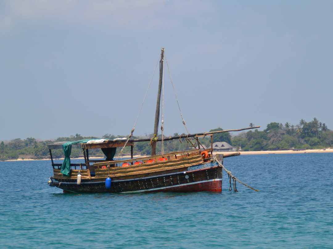 Wasini Dolphin Tour-Wasini Island必去景点